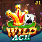 okgames app apk Wild Ace